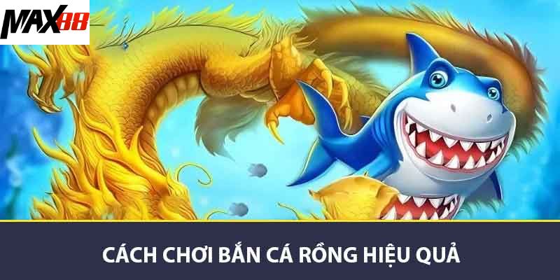 Cách chơi bắn cá rồng hiệu quả